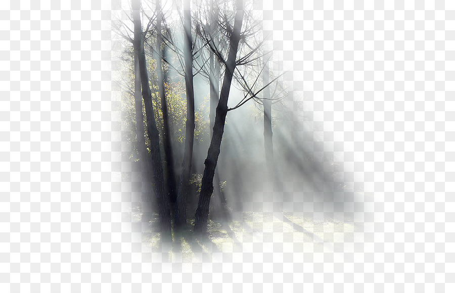 La Niebla，Fondo De Escritorio PNG