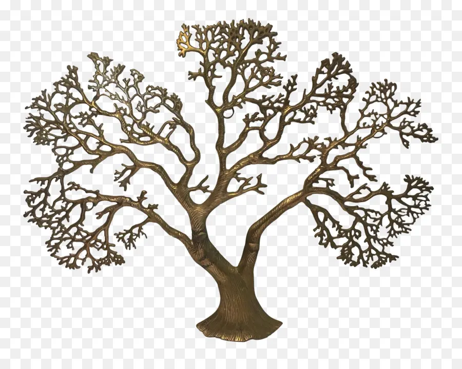 Árbol，Sucursales PNG