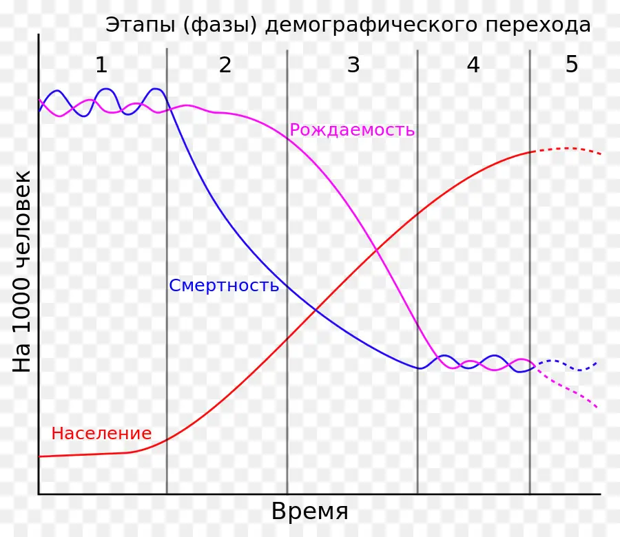 La Transición Demográfica，Geografía Humana PNG