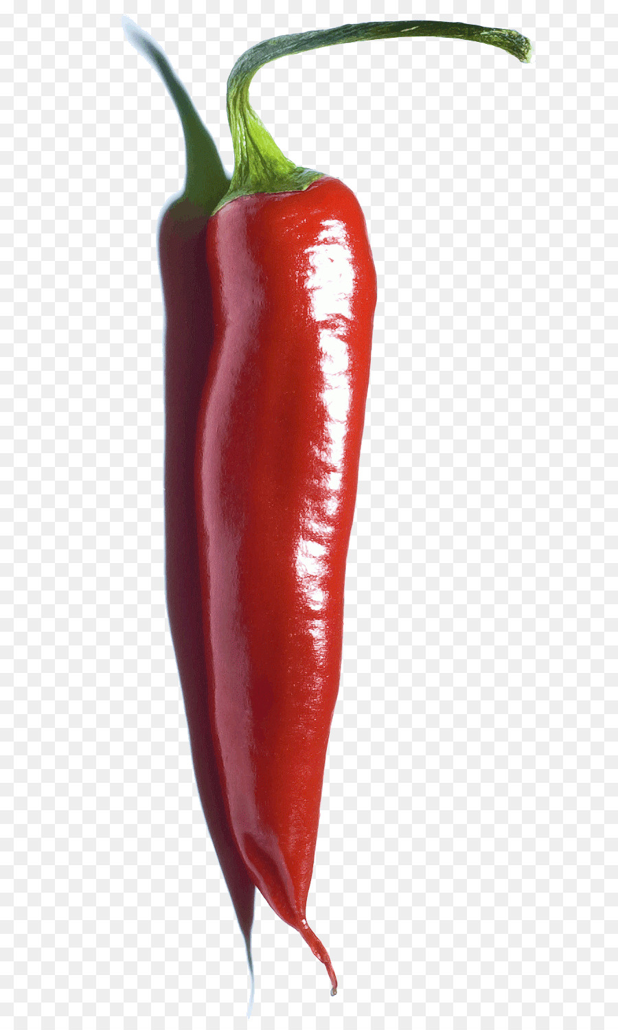 Habanero，Chile Serrano PNG