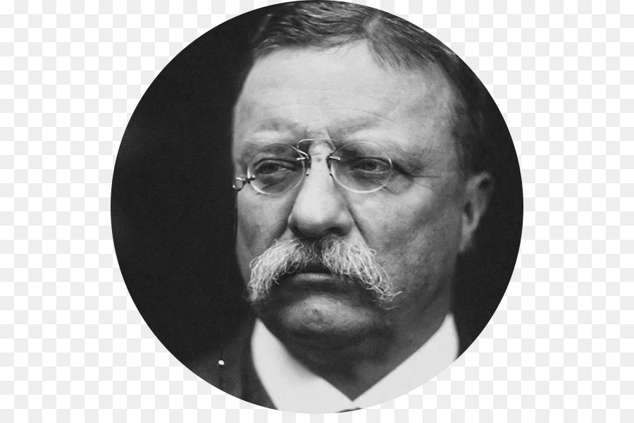Theodore Roosevelt，Casa Blanca PNG