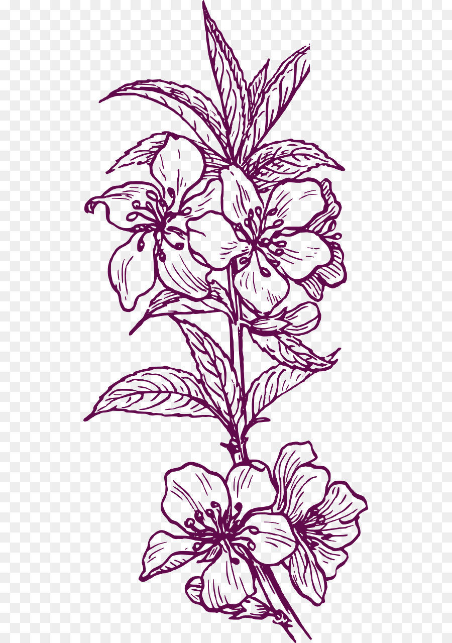 Dibujo De Flores，Flor PNG