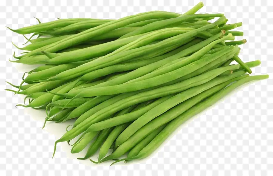 El Frijol Común，Yardlong Bean PNG