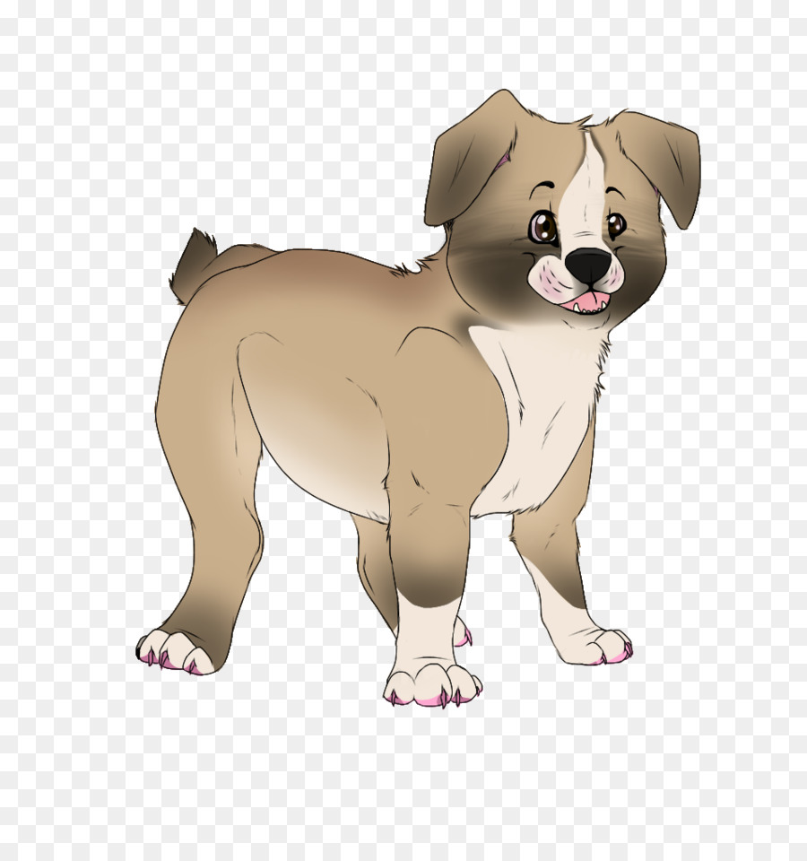 Raza De Perro，Cachorro PNG