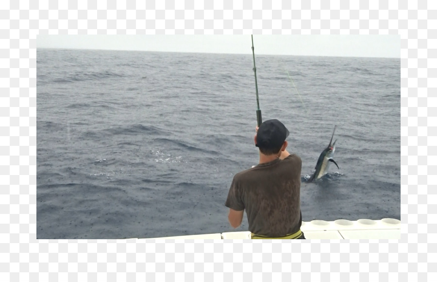 Jigging，Cañas De Pesca PNG