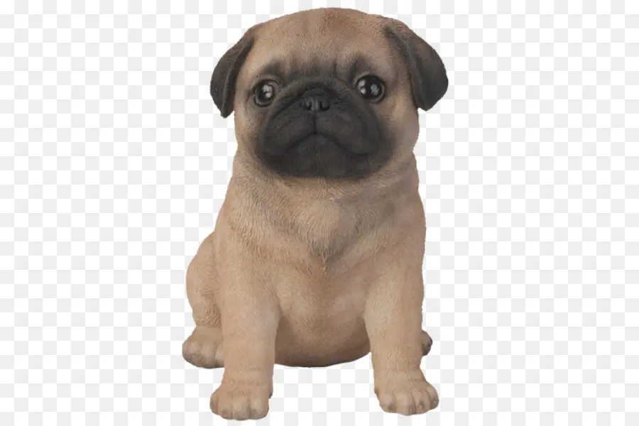 Pug，Cachorro PNG