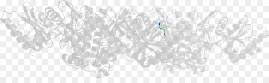 Blanco，Arte De Línea PNG