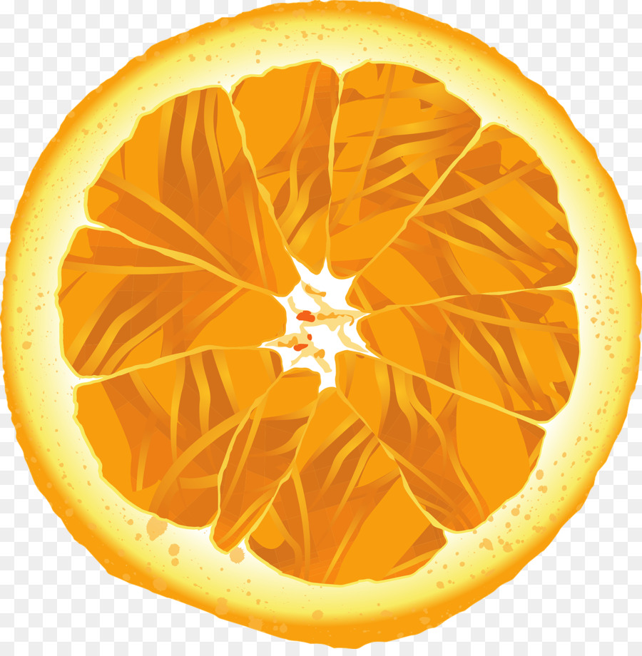 Rodaja De Naranja，Agrios PNG