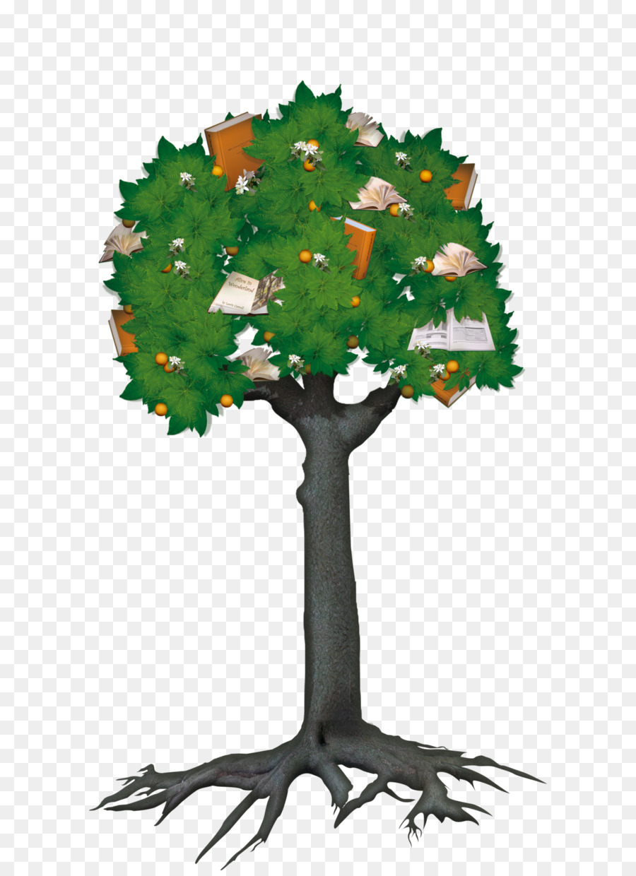 Árbol，Libros PNG