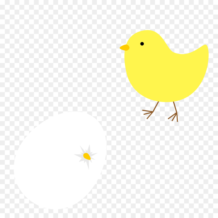 Pollo，Ganso PNG