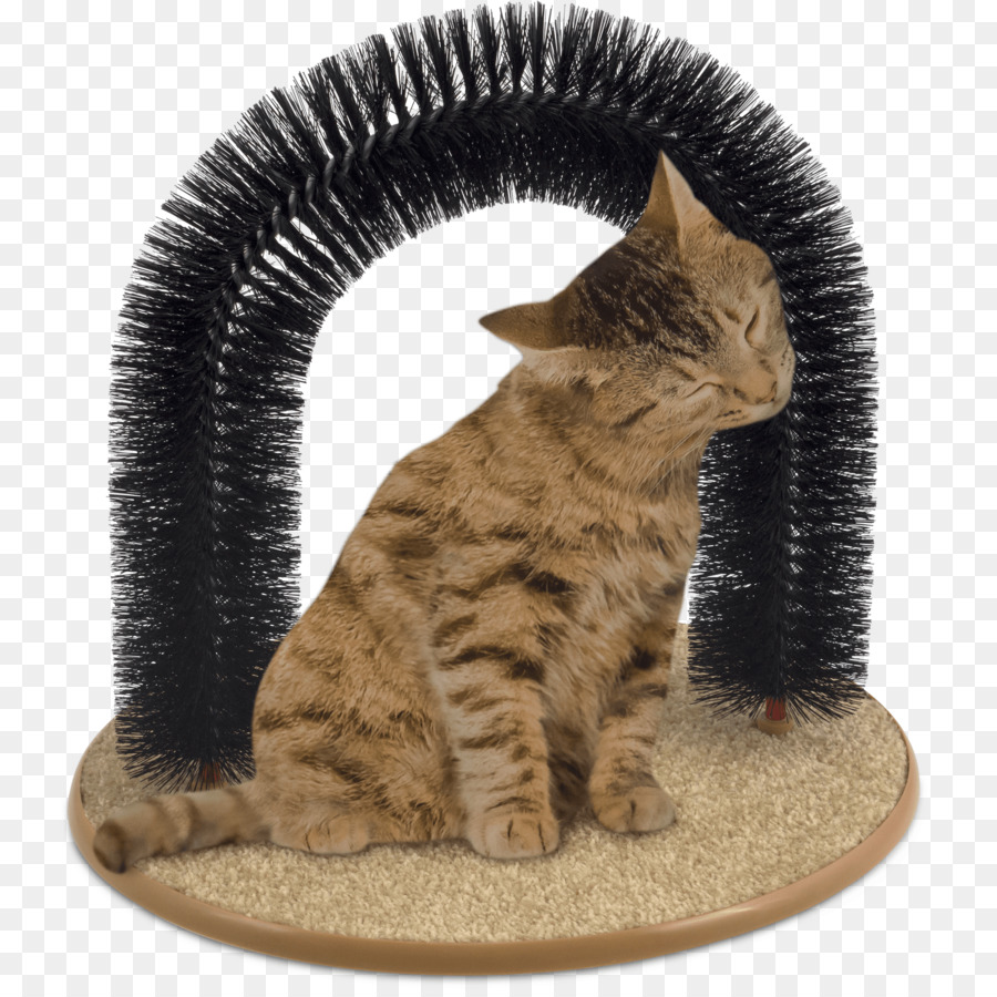 Gato，Perro PNG