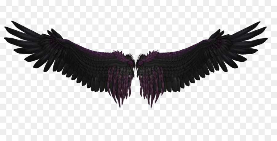 Alas，Plumas PNG