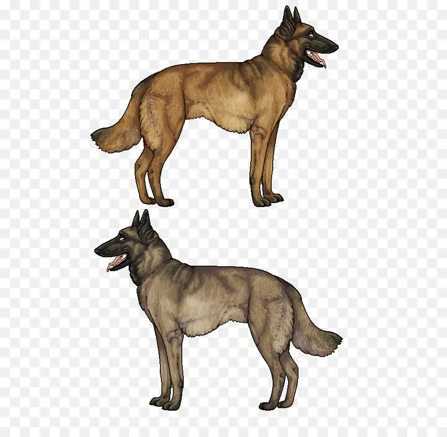 Dos Perros，Animales PNG