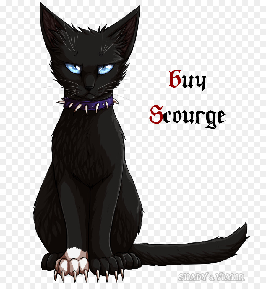 Gato Negro，Gatito PNG