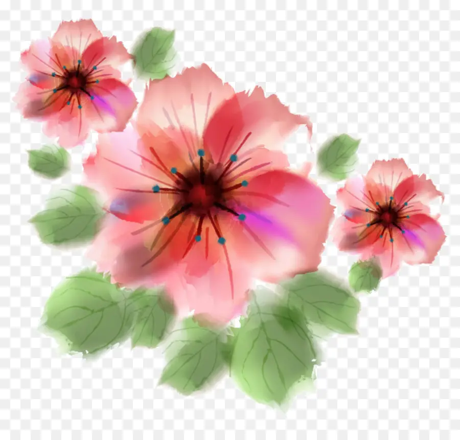 Flores Rosadas，Florecer PNG