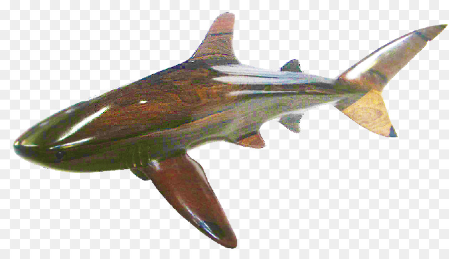 Tiburón，El Tiburón Ballena PNG