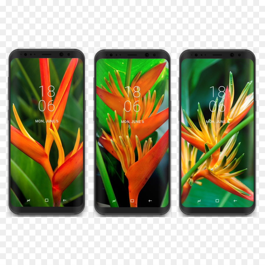 Samsung Galaxy S8，Samsung PNG