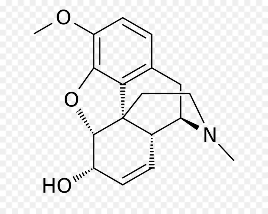 Estructura Química，Molécula PNG