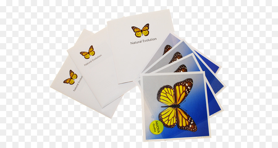 Papel，Mariposa PNG