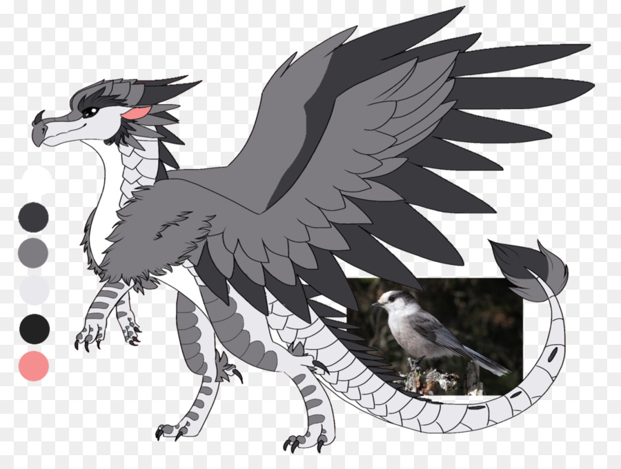 Aves，Gris Jay PNG