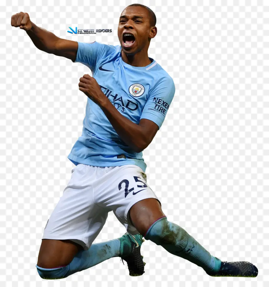 Fernandinho，El Manchester City Fc PNG