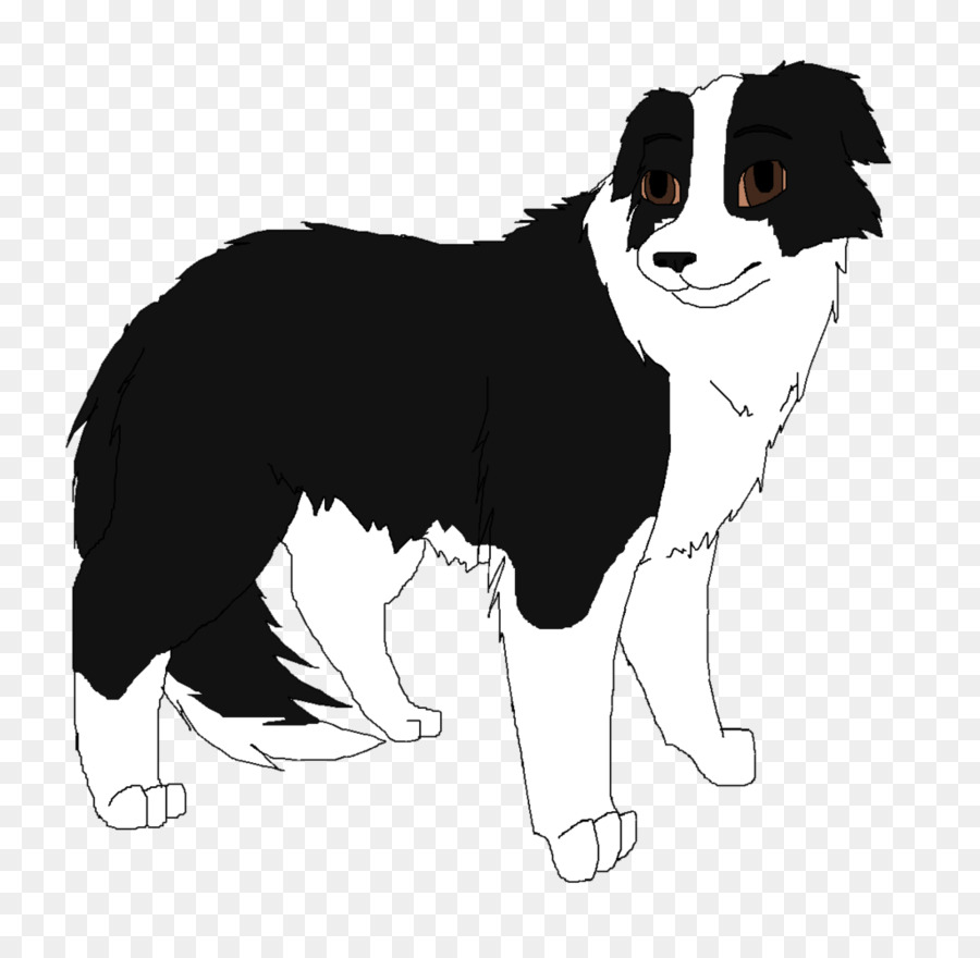 Border Collie，Raza De Perro PNG