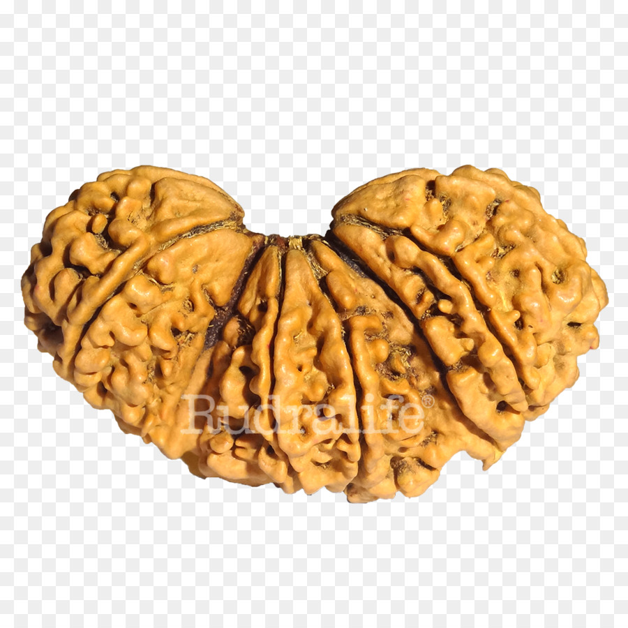 Rudraksha，Rudralife PNG