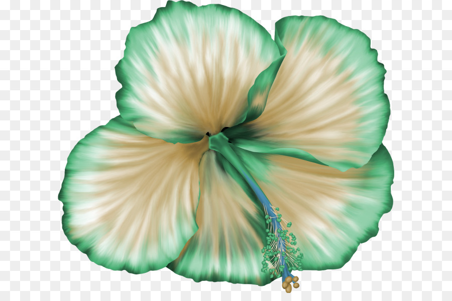 Flor，Diseño Floral PNG