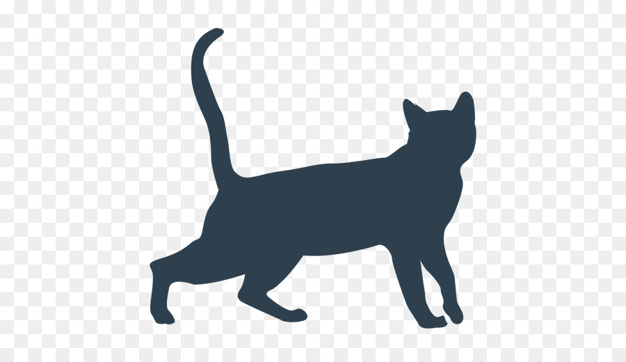 Gato Negro，Gatito PNG