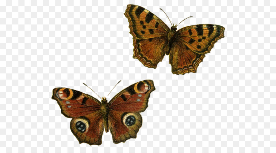 Mariposa，Postscript Encapsulado PNG