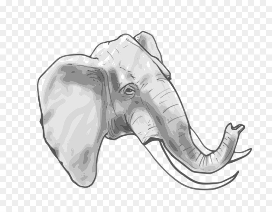 Elefante，Fauna PNG