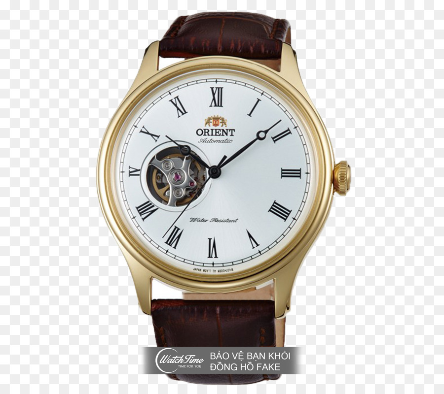 Amazoncom，Orient Watch PNG