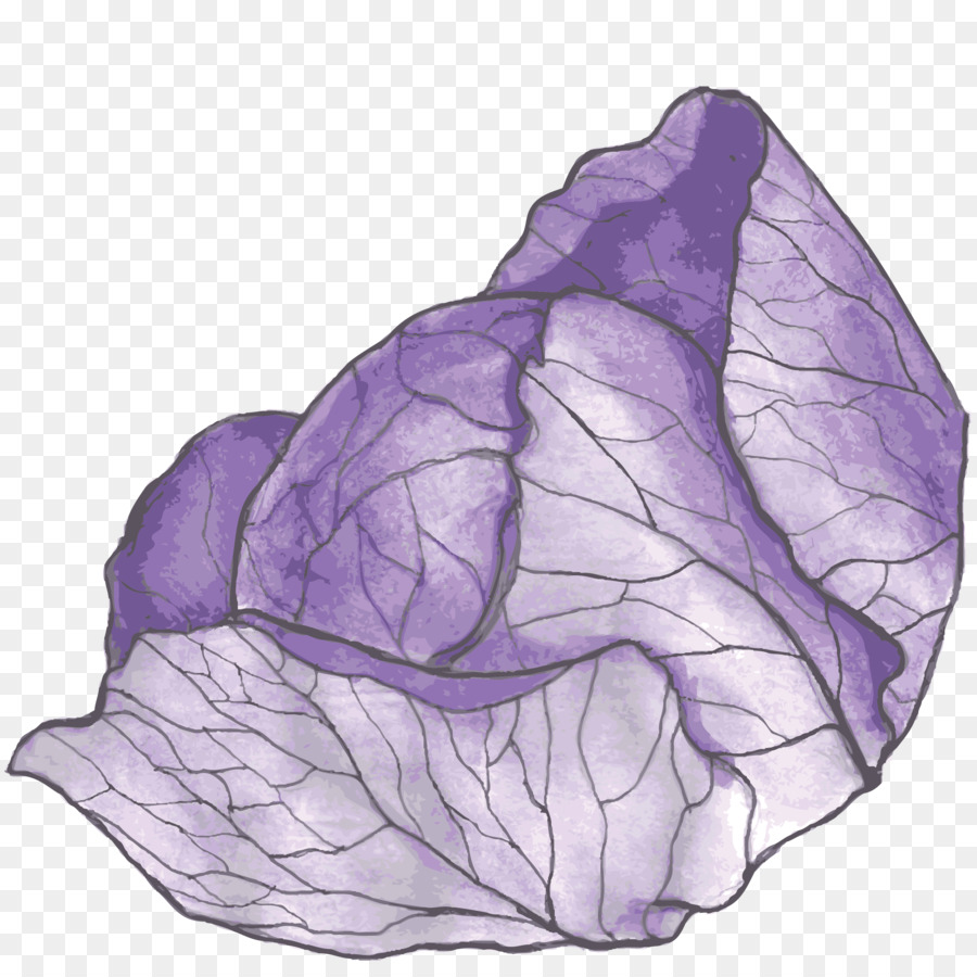 Morado，Col Roja PNG