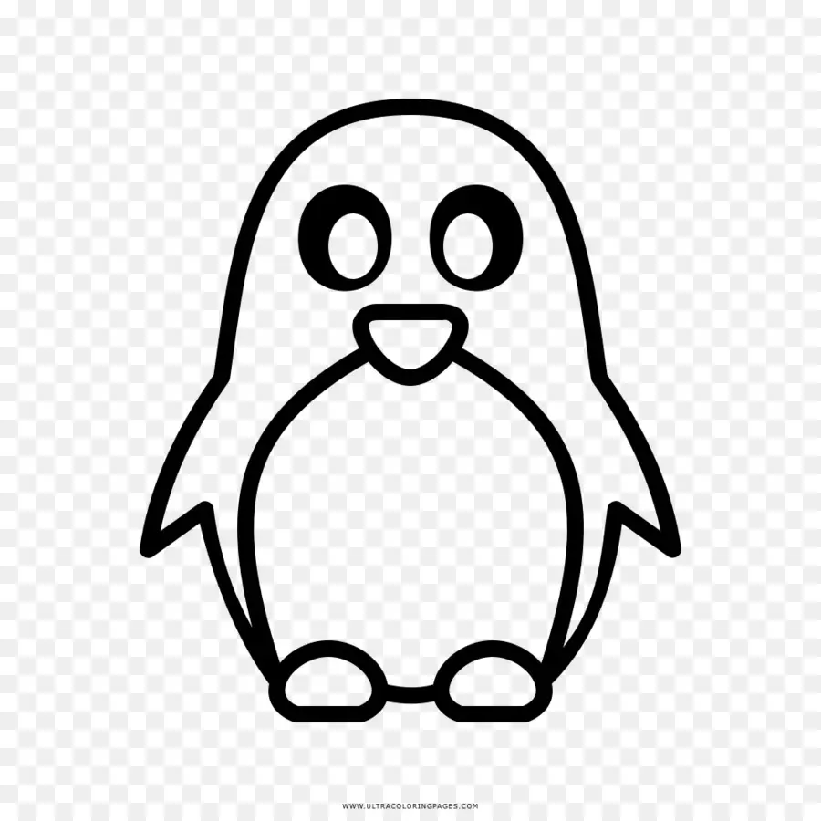 Pingüino，Animal PNG