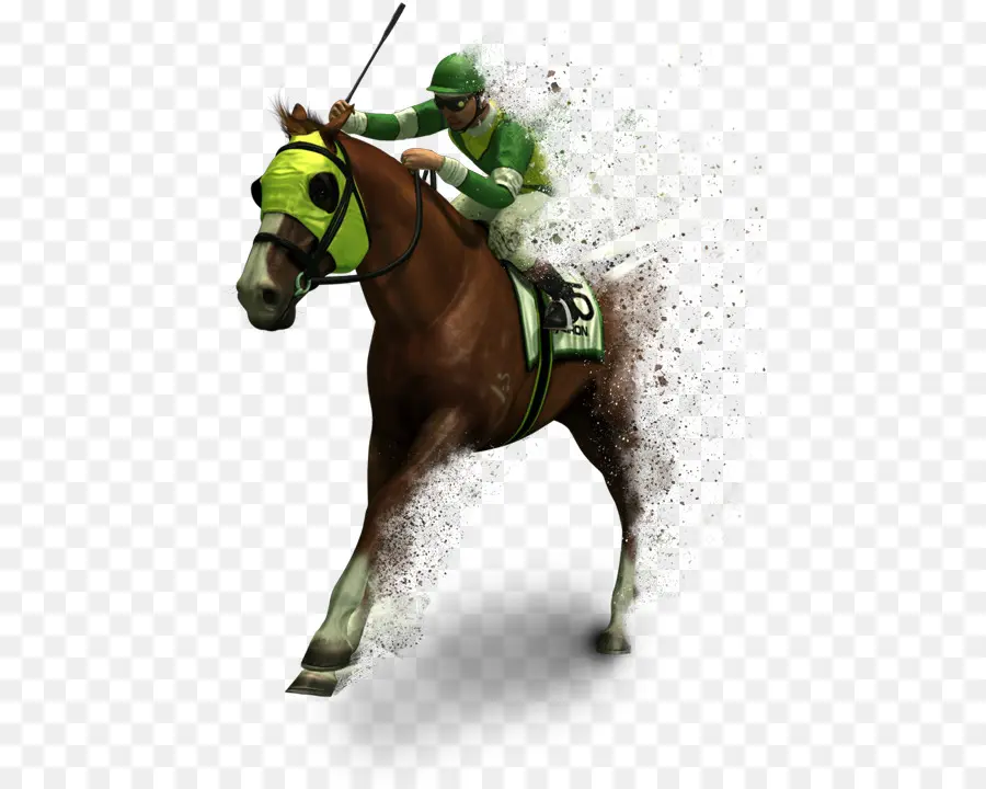 Caballo，Las Carreras De Caballos PNG