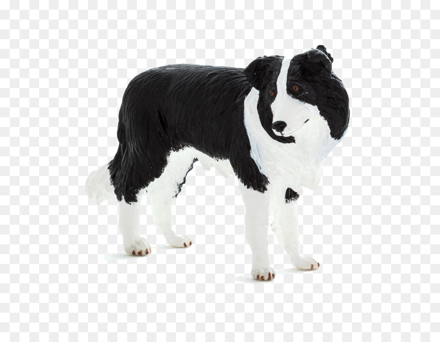 Border Collie，Rough Collie PNG