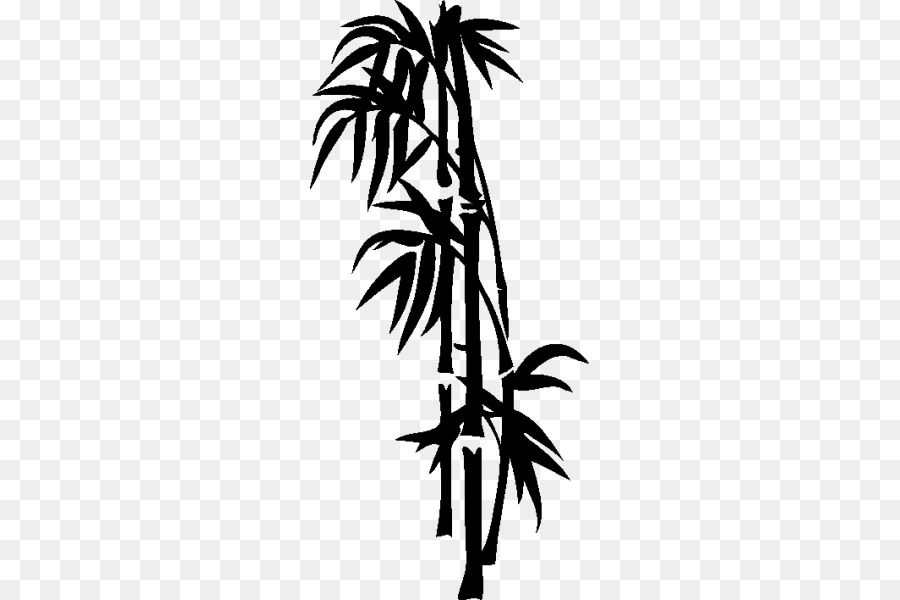 Arecaceae，Ramita PNG