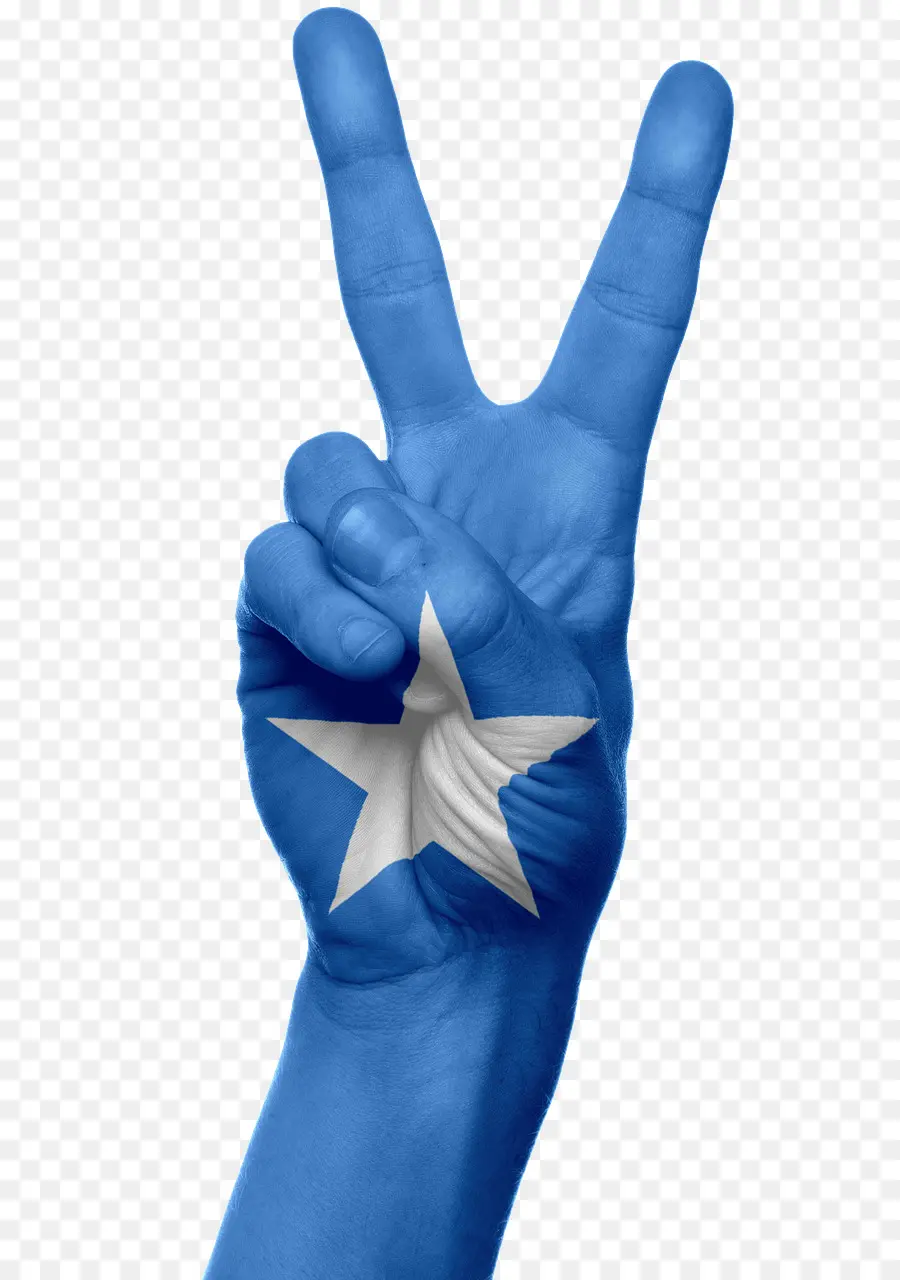 Somalia，Bandera De Somalia PNG