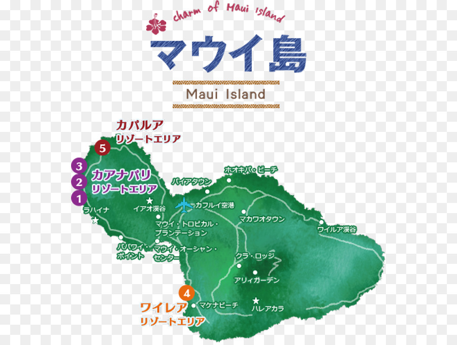 Árbol，Mapa PNG