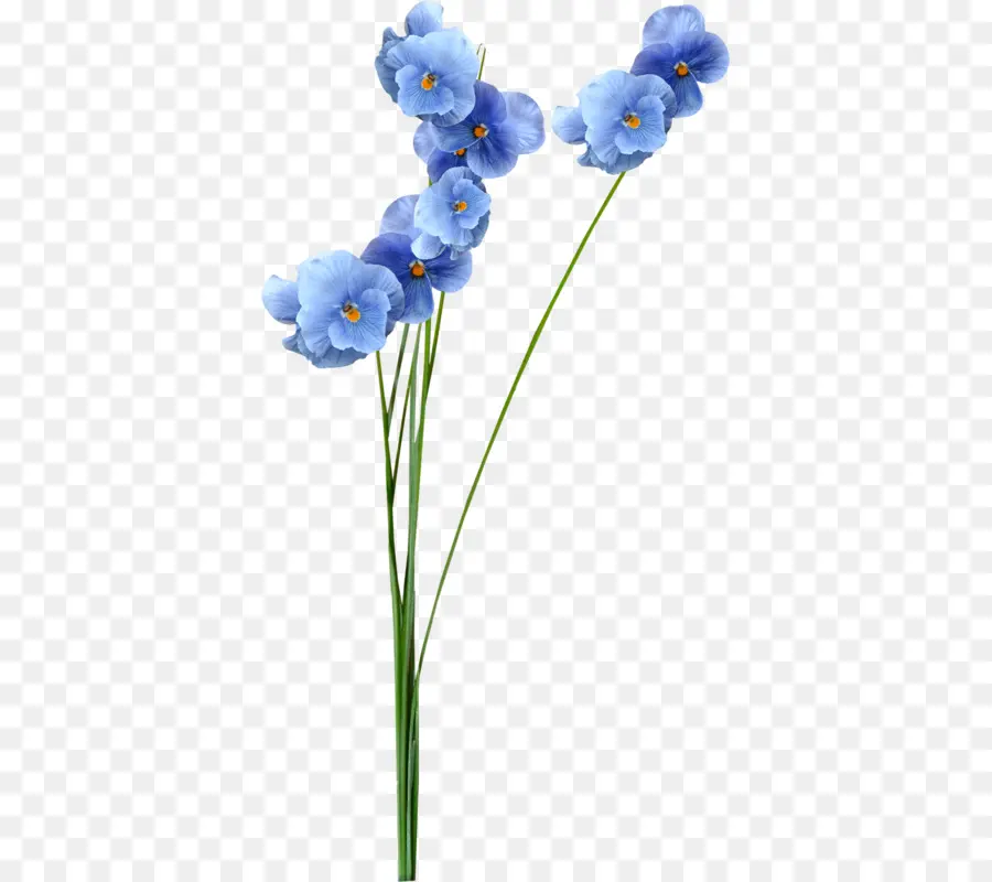 Flores Azules，Provenir PNG