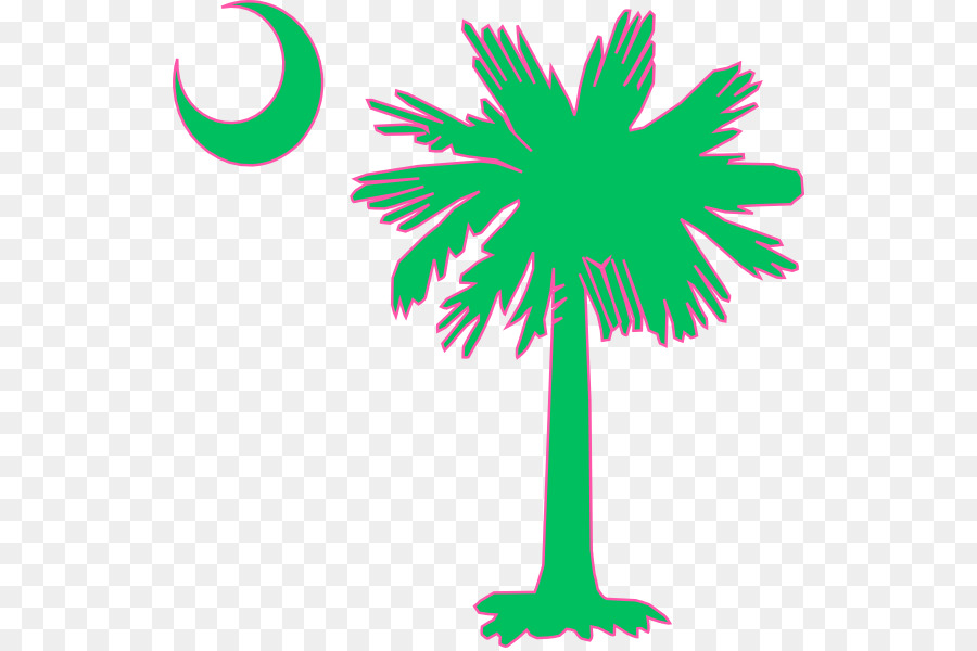 Carolina Del Sur，Sabal Palm PNG