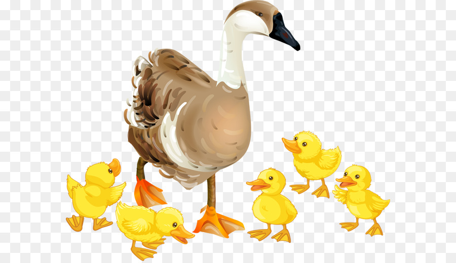 Madre Pato Y Patitos，Amarillo PNG