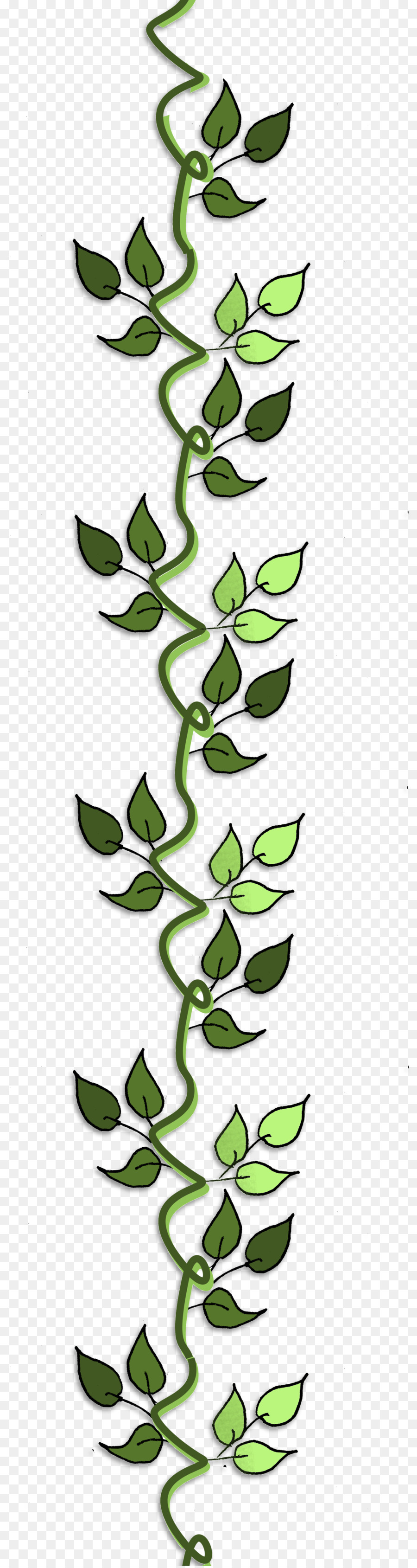 Hoja，Tallo De La Planta PNG