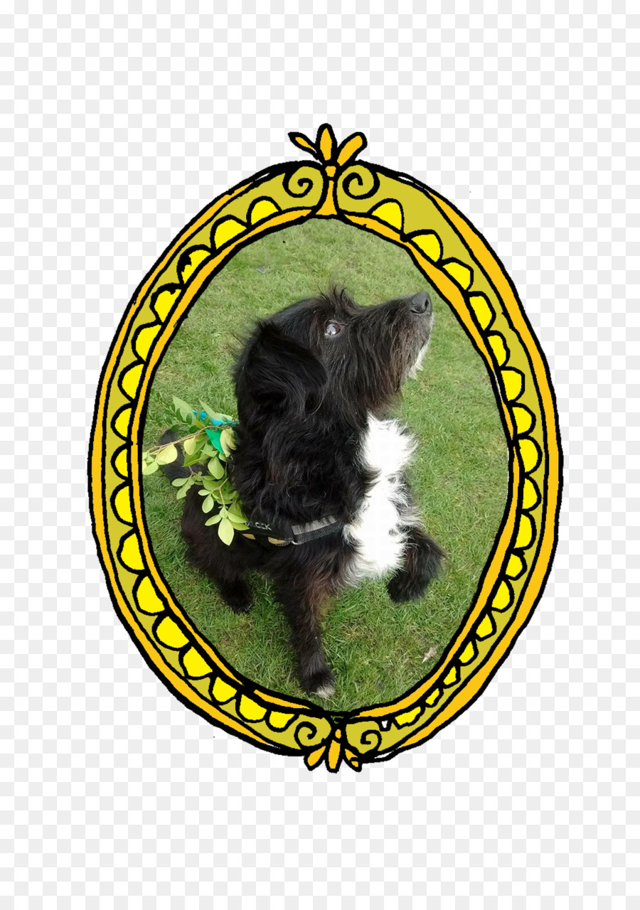 Gato，Perro PNG