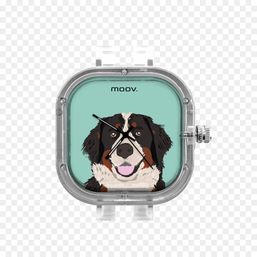 Cachorro，Reloj PNG