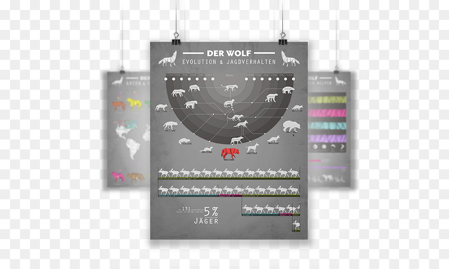 Lobo Gris，Infografía PNG