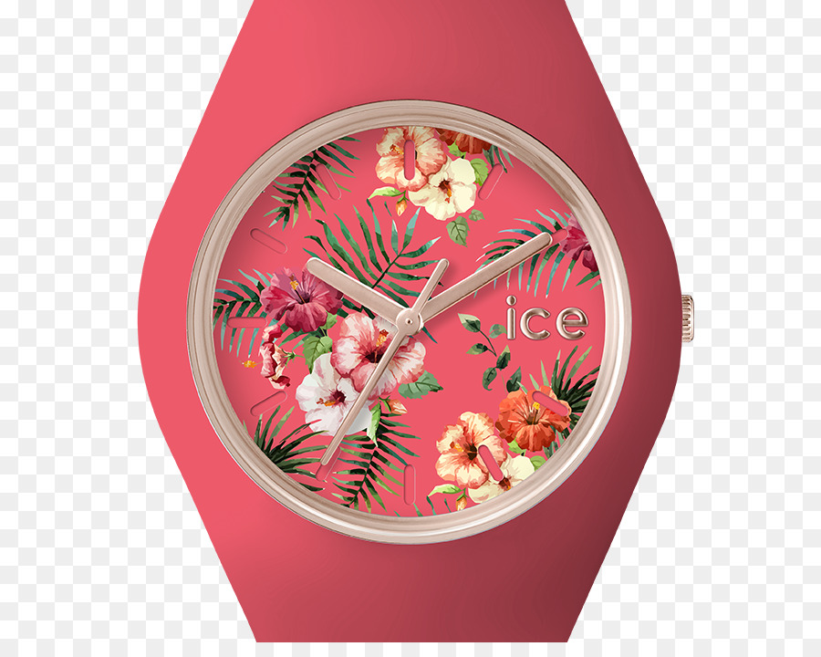 Reloj，Ice Watch PNG