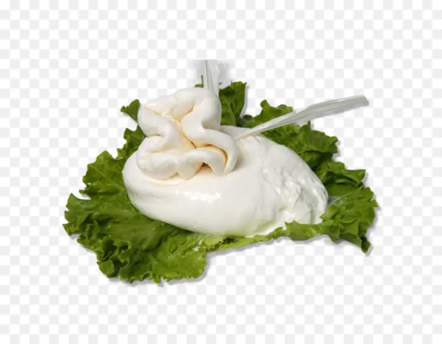 Queso Burrata，Queso PNG