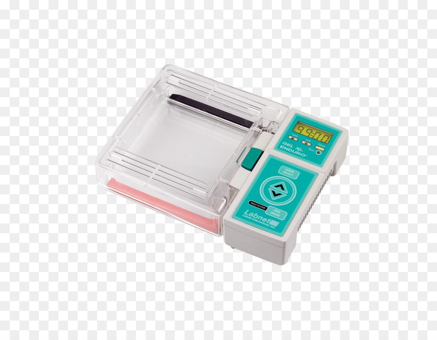 Vienen De Electroforesis，Gel PNG