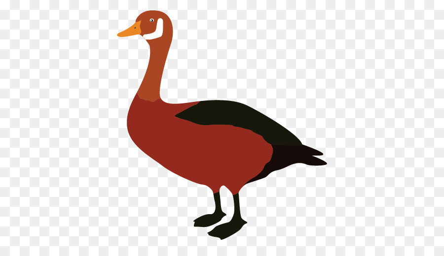 Pato，Ganso PNG